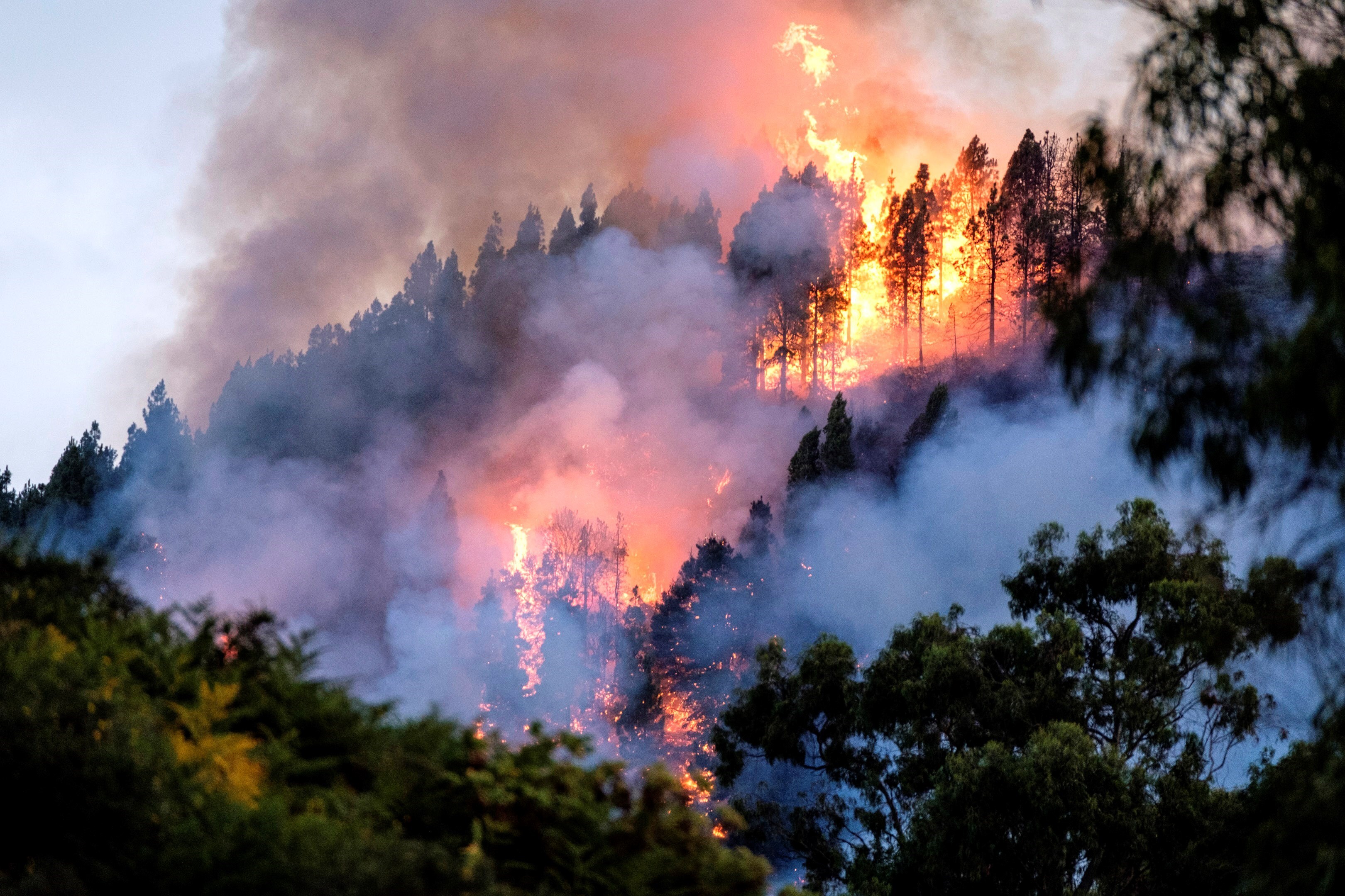 Entre los efectos del cambio climático se encuentran las olas de calor, las sequías, las inundaciones y los incendios forestales. Todos factores que están afectando los ecosistemas (EFE/Angel Medina/Archivo)
