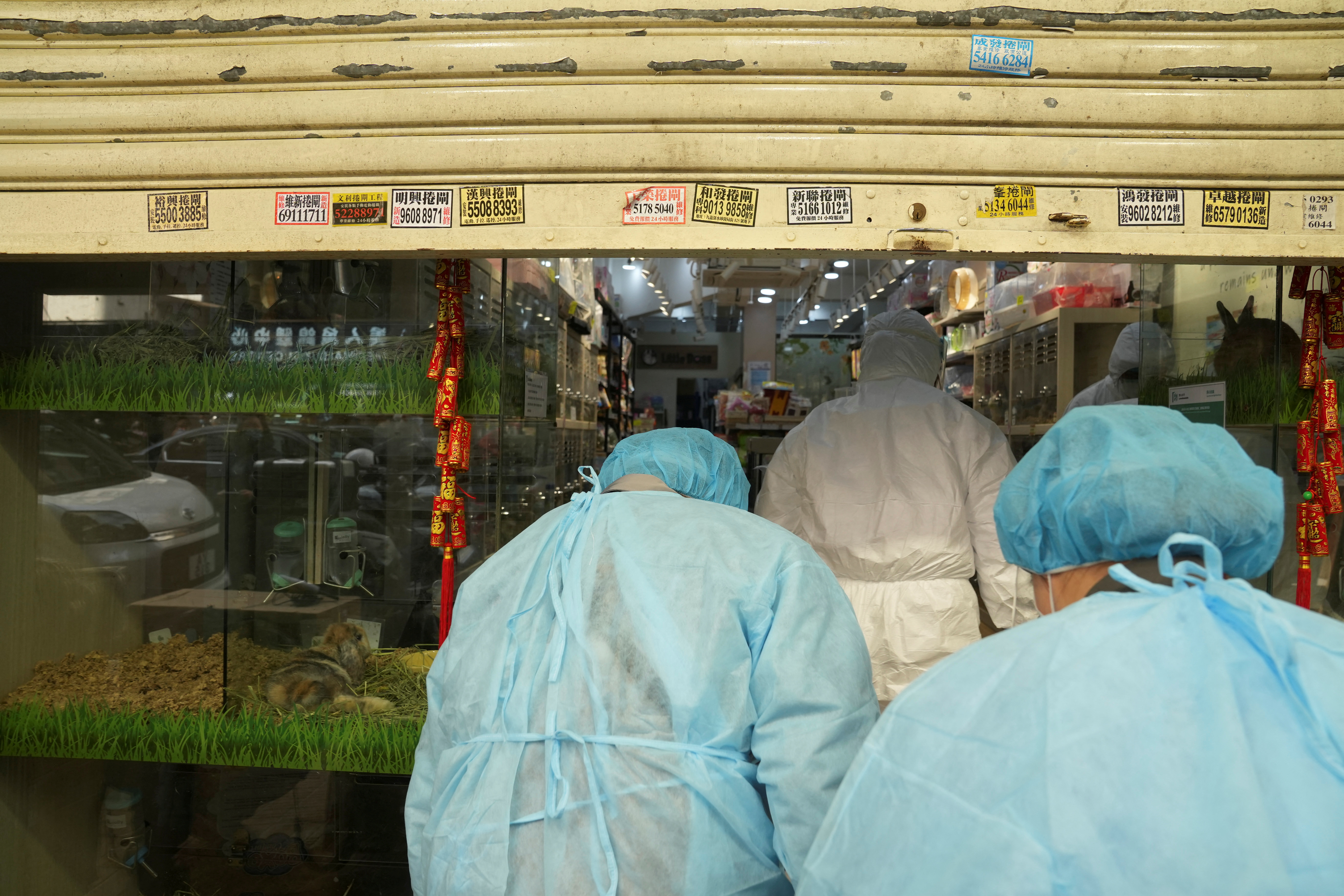 Trabajadores de salud entran a una veterinaria después del brote de COVID 
REUTERS/Lam Yik