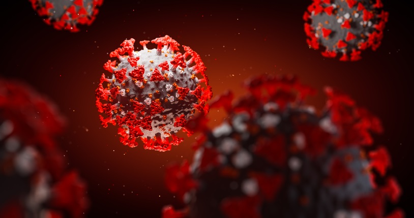 Les chercheurs ont découvert que le coronavirus infecte à la fois les cellules graisseuses et certaines cellules immunitaires dans la graisse corporelle.
