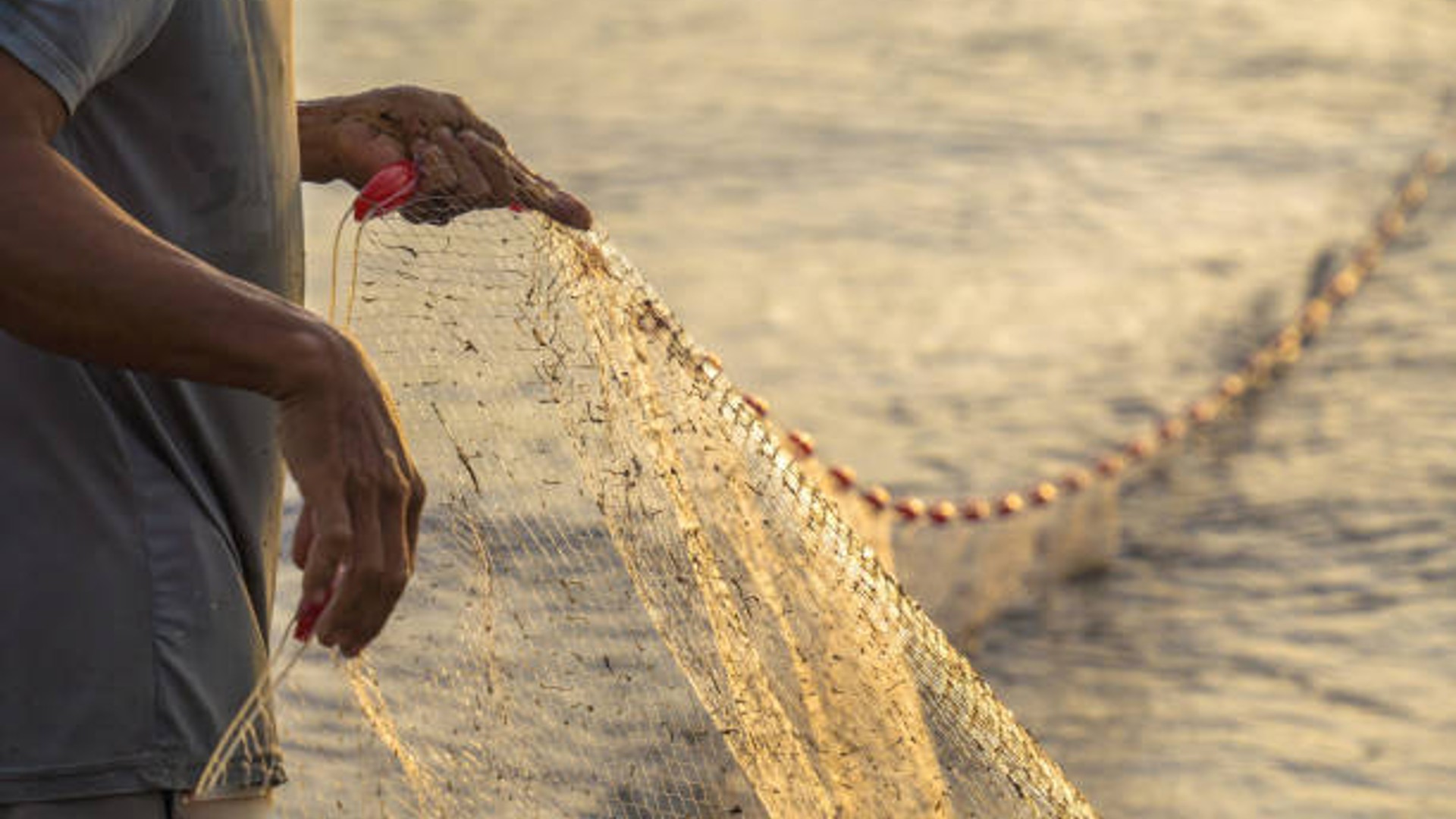 Sociedad Nacional de Pesca Artesanal denuncia ingreso de más de 240 barcos  chinos sin control en puertos peruanos - Infobae