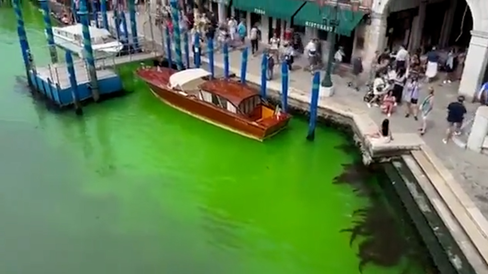 El agua del Gran Canal de Venecia apareció teñida de un misterioso verde fluorescente 