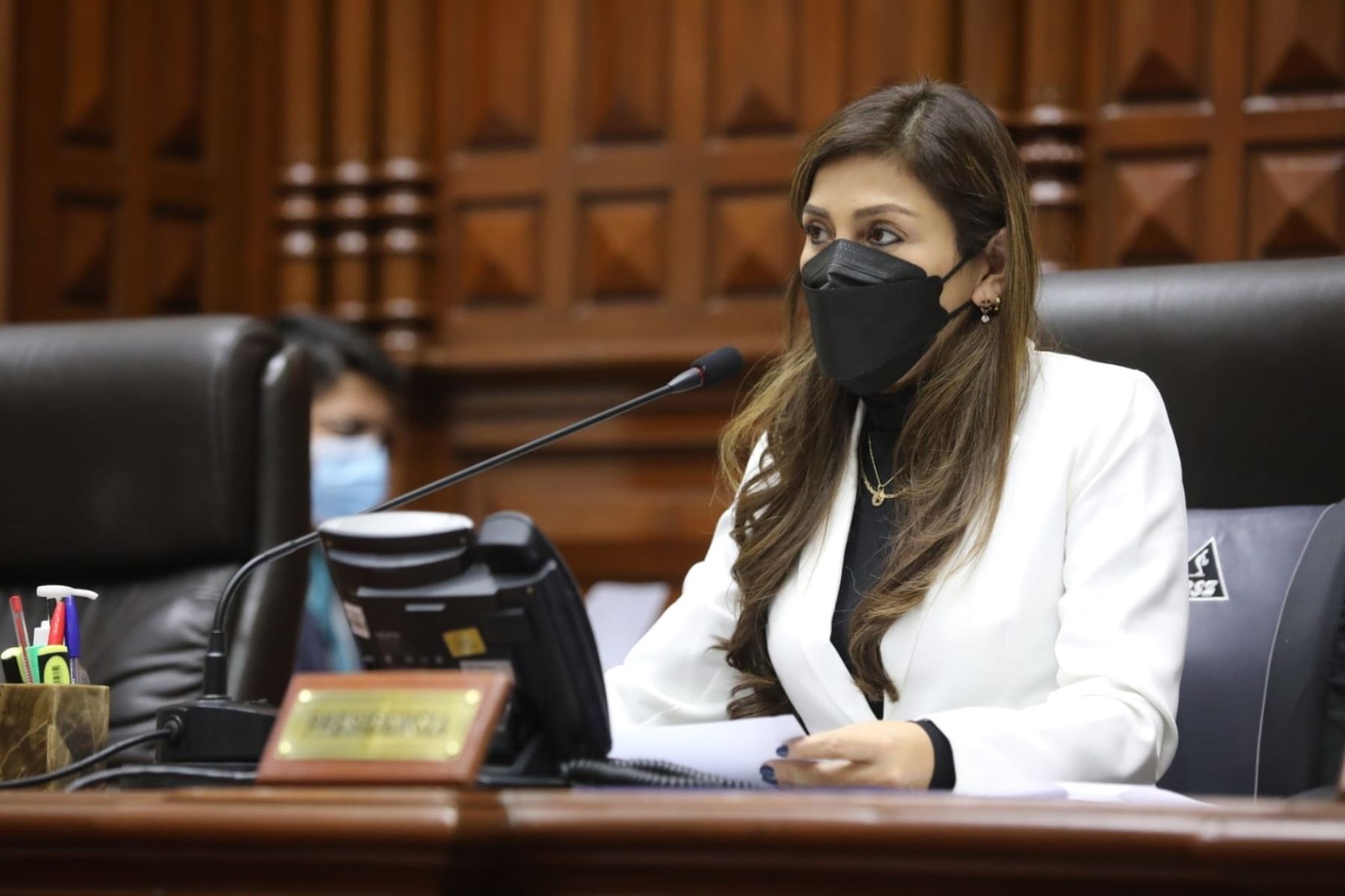 Lady Camones consideró que la decisión del jefe de Estado de guardar silencio ante las preguntas de la Fiscal de la Nación califica como "obstrucción a la justicia". Foto: Andina