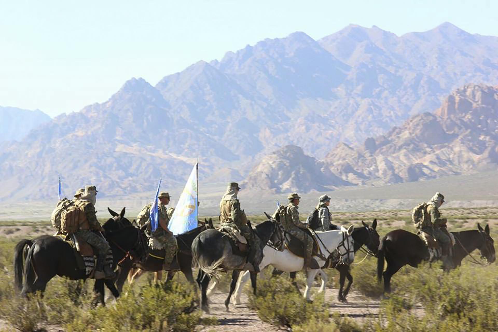Cayeron las “Damas de Rosa”, la banda narco de mujeres que operaba en el Conurbano