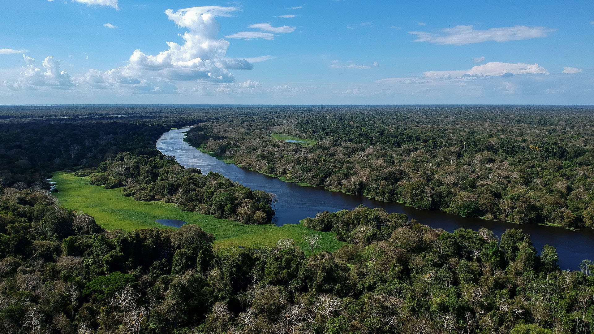 En esta foto de archivo tomada el 28 de junio de 2018, el río Jaraua fluye a través de la Reserva de Desarrollo Sostenible Miramar en el Estado de Amazonas, Brasil, el 28 de junio de 2018. - Más del 70 por ciento de las últimas tierras vírgenes del planeta están en manos de sólo cinco países. (Foto de Mauro Pimentel / AFP)
