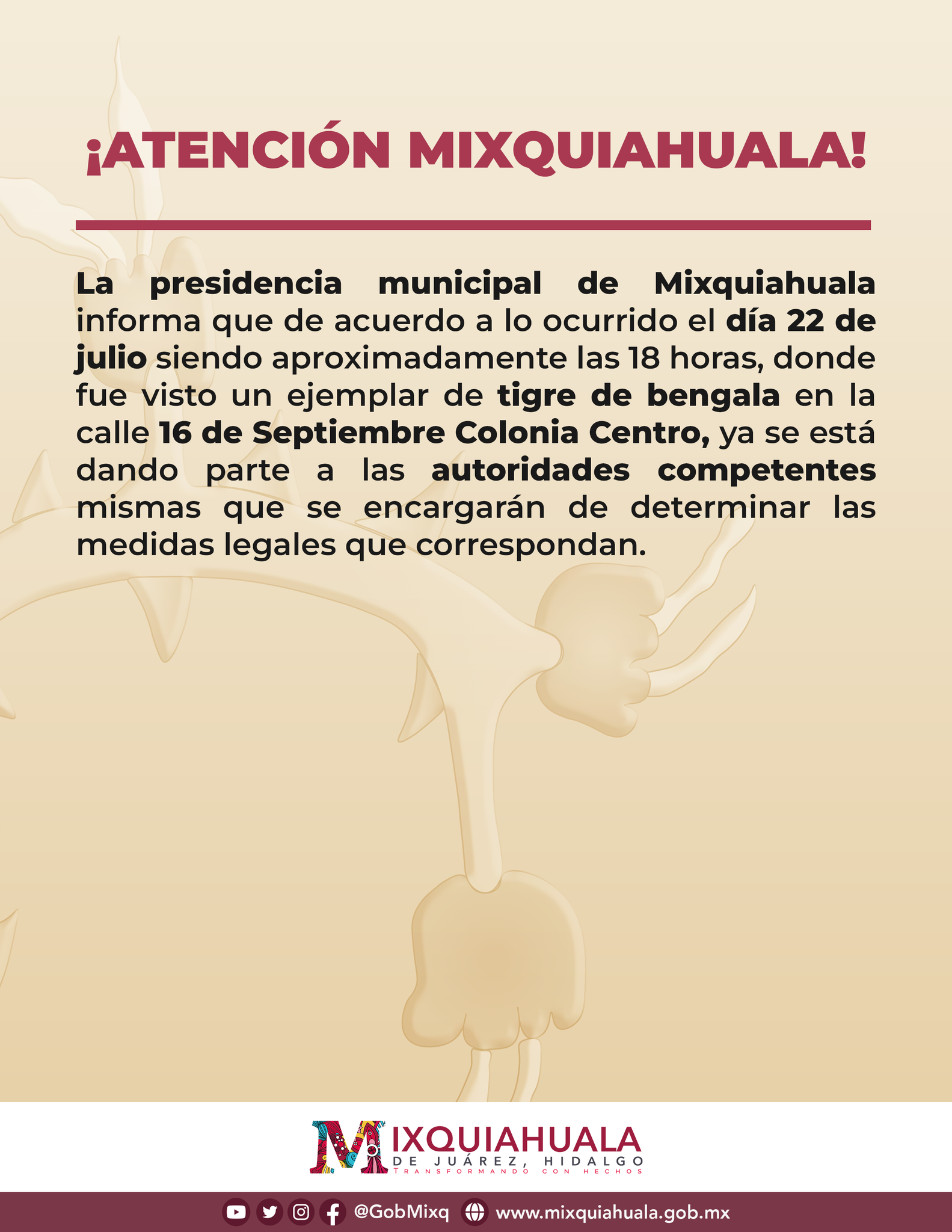 La presidencia municipal de Mixquiahual informó que ya se están realizando las medidas legales correspondientes (Foto: Facebook/GobMixq)