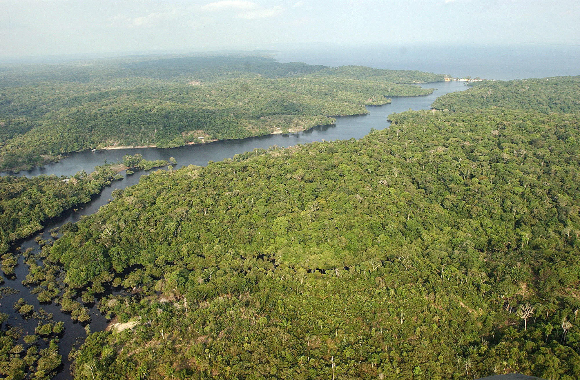 Fotografía del archivo de una vista general de una área selvática cercana a Manaos, en la Amazonía en Brasil (EFE/Marcelo Sayão)
