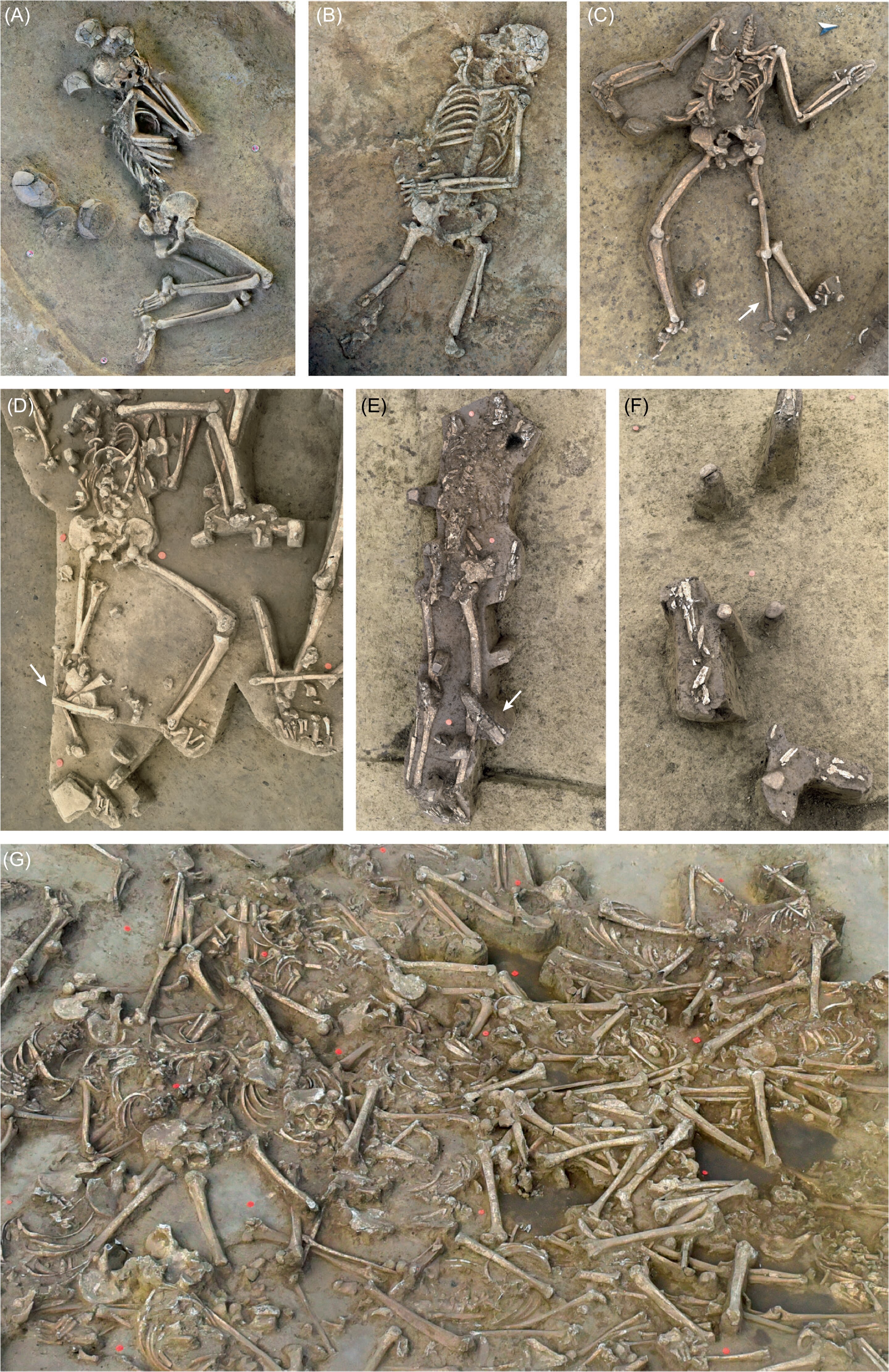 El enigma de los 78 esqueletos sin cabeza hallados en Eslovaquia: qu&eacute; revelan sobre las sociedades de hace 7.000 a&ntilde;os