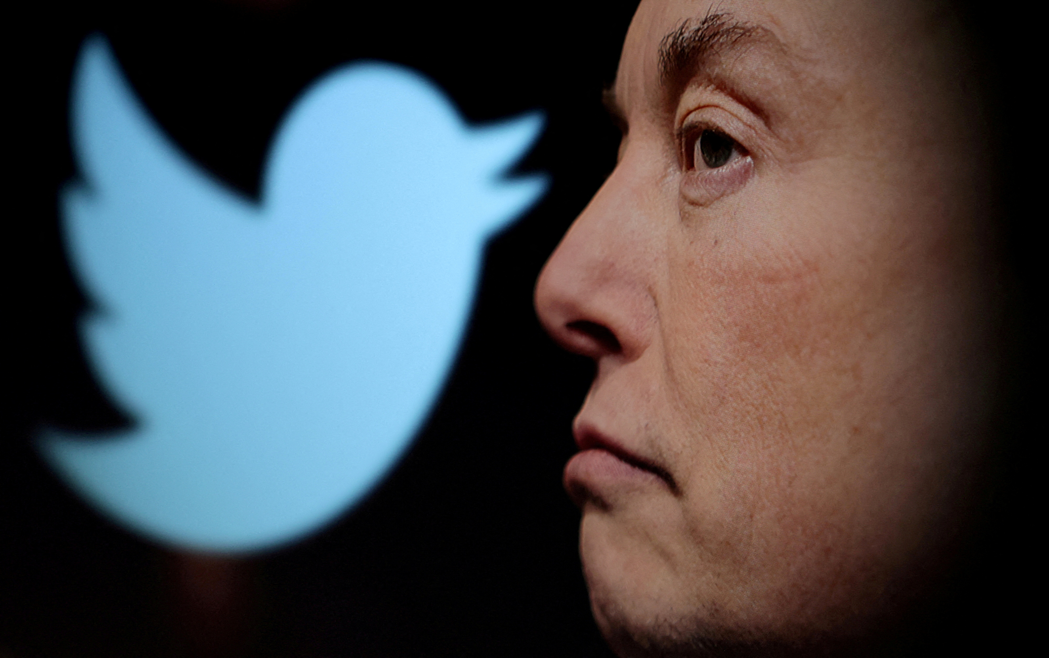 Elon Musk restableció las cuentas en Twitter de los periodistas suspendidos tras los resultados de una encuesta