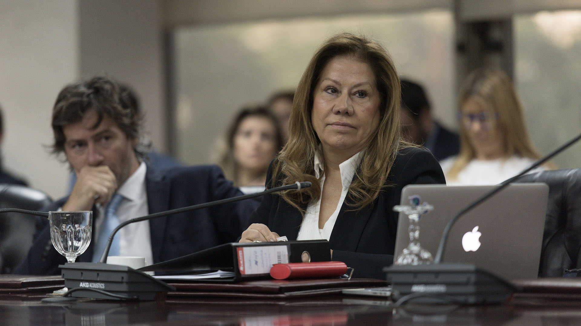 Graciela Camaño, en una sesión del Consejo de la Magistratura (Adrián Escandar)