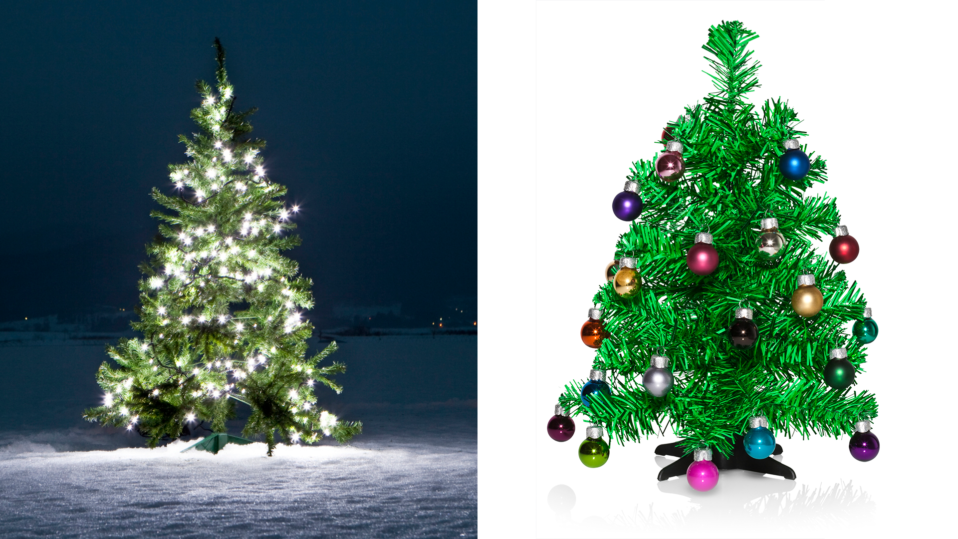 Artificial o natural: ¿cuál es el árbol de Navidad más sustentable?