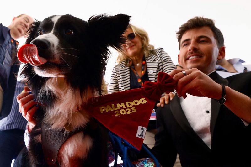 Stan, un Border Collie, recibe el premio Palm Dog en nombre del perro Messi, que interpretó a Snoop en la película "Anatomie d'une chute" (Anatomía de una caída), en los Premios Palm Dog que tienen lugar en paralelo al 76º Festival de Cannes en Cannes, Francia (REUTERS/Eric Gaillard)