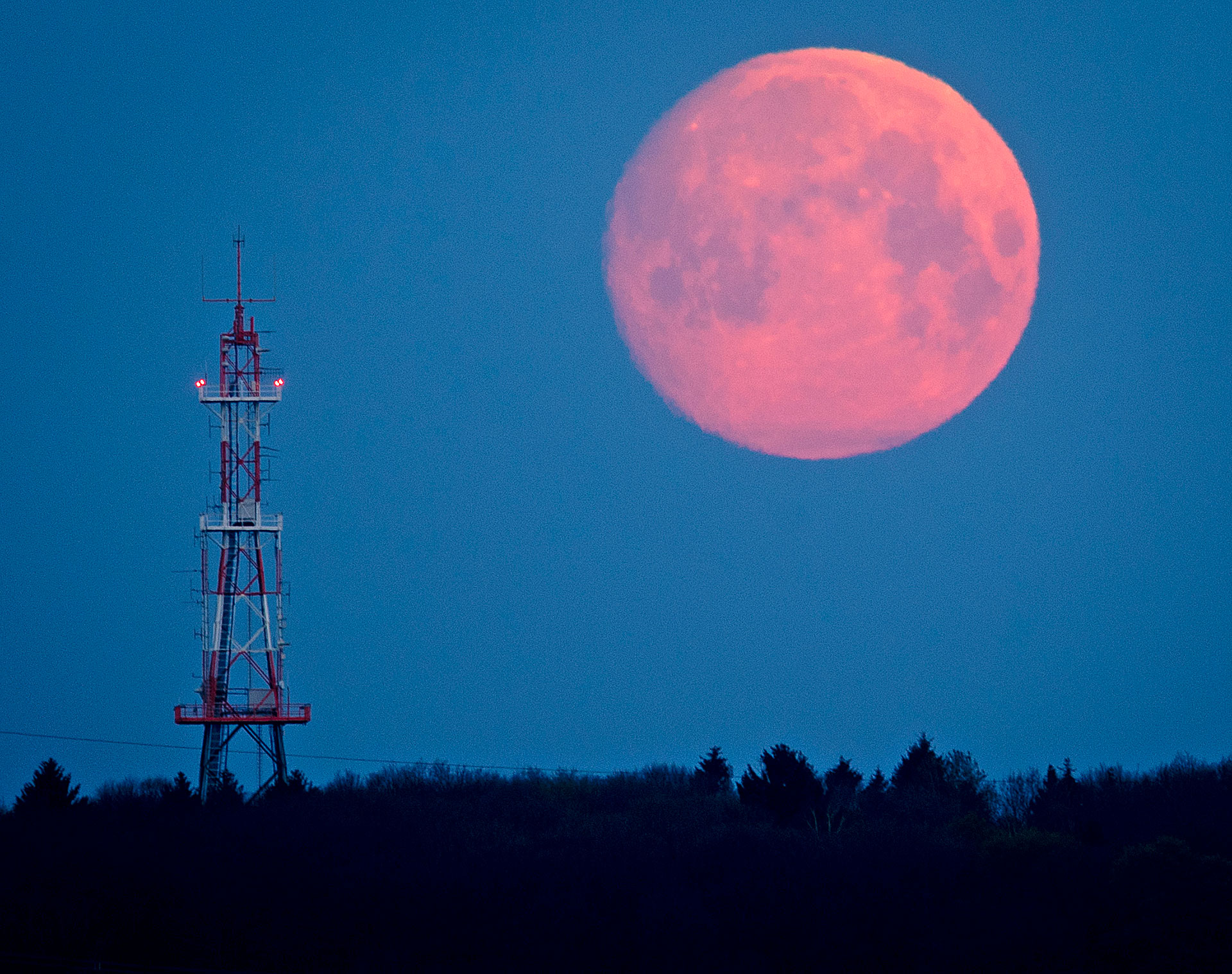 La luna rosa se podrá observar el 16 de abril teniendo su punto más alto de esplendor a partir de la caída de la noche. (AP)