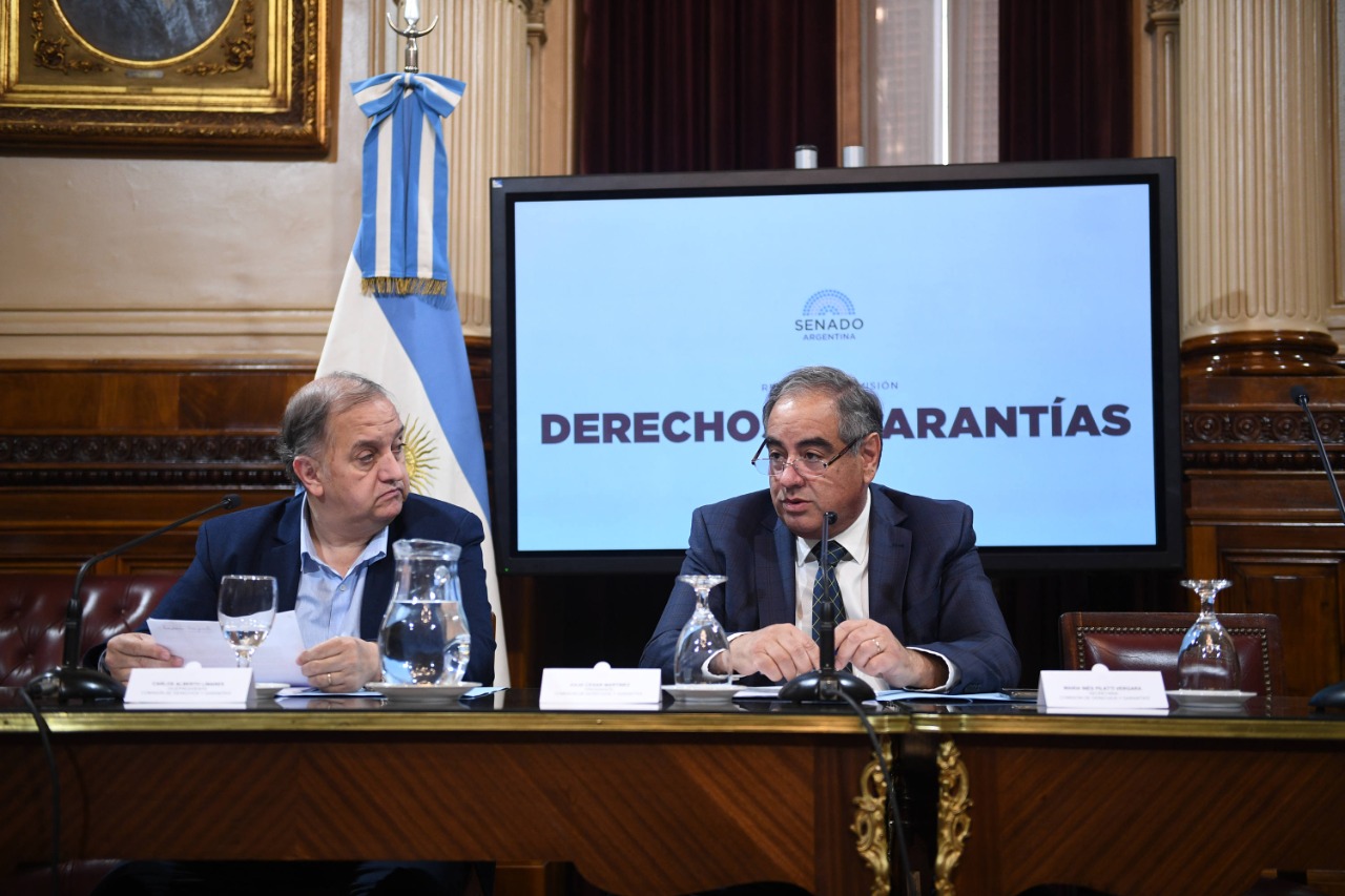 El senador y ex ministro de Defensa, Julio Martínez, cuestionó al Frente de Todos por las demoras en los ascensos a militares