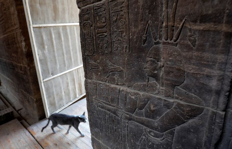 Un gato camina al lado de jeroglíficos tallados para el dios "Hapi" del Nilo en muralla del Templo de File en Asuán, Egipto, 18 febrero 2020.
REUTERS/Amr Abdallah Dalsh