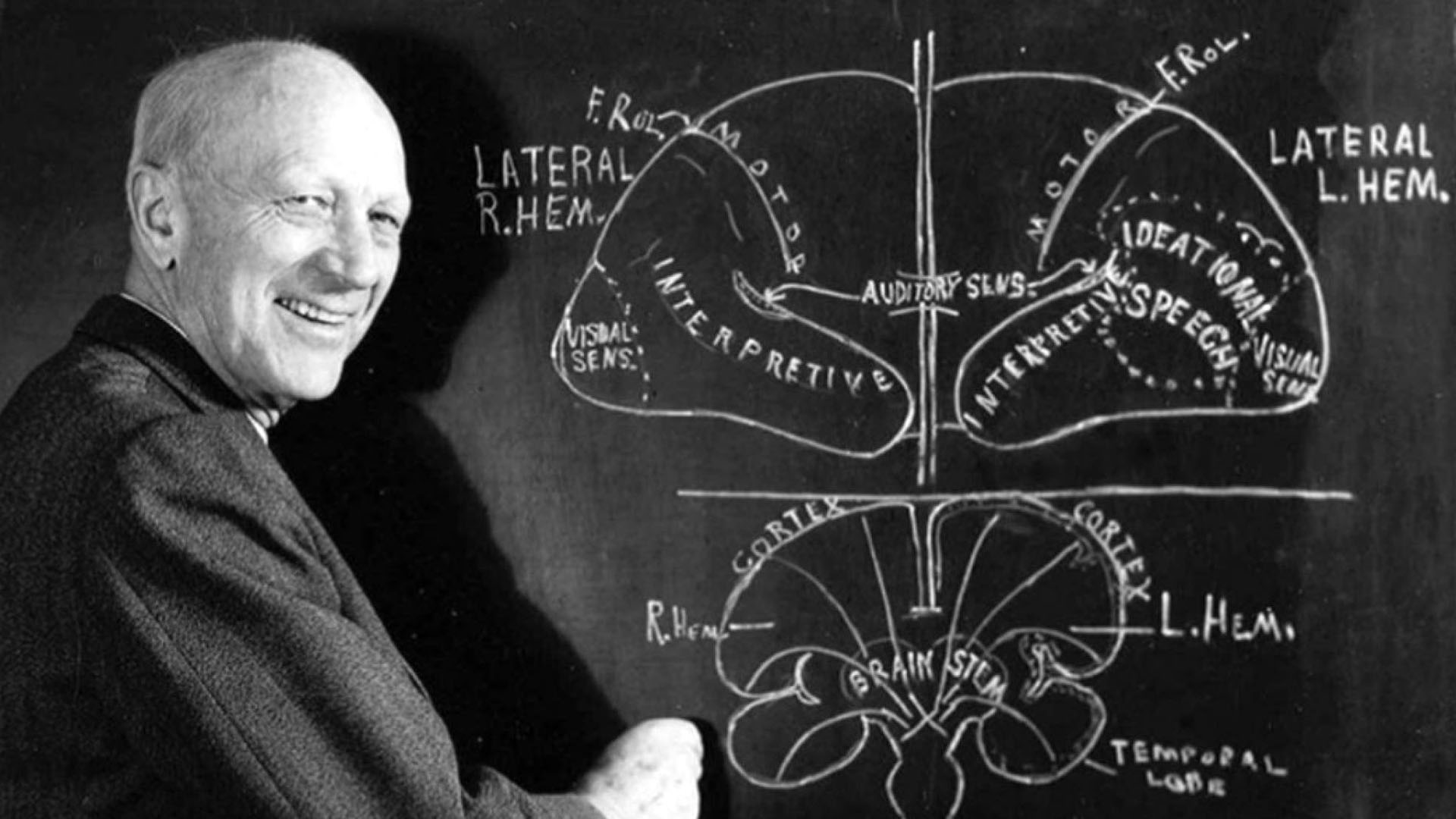 El neurocirujano Wilder Penfield trazó un mapa de estas zonas motoras del cerebro en la década de 1930. El nuevo estudio identificó algunos errores/Archivo