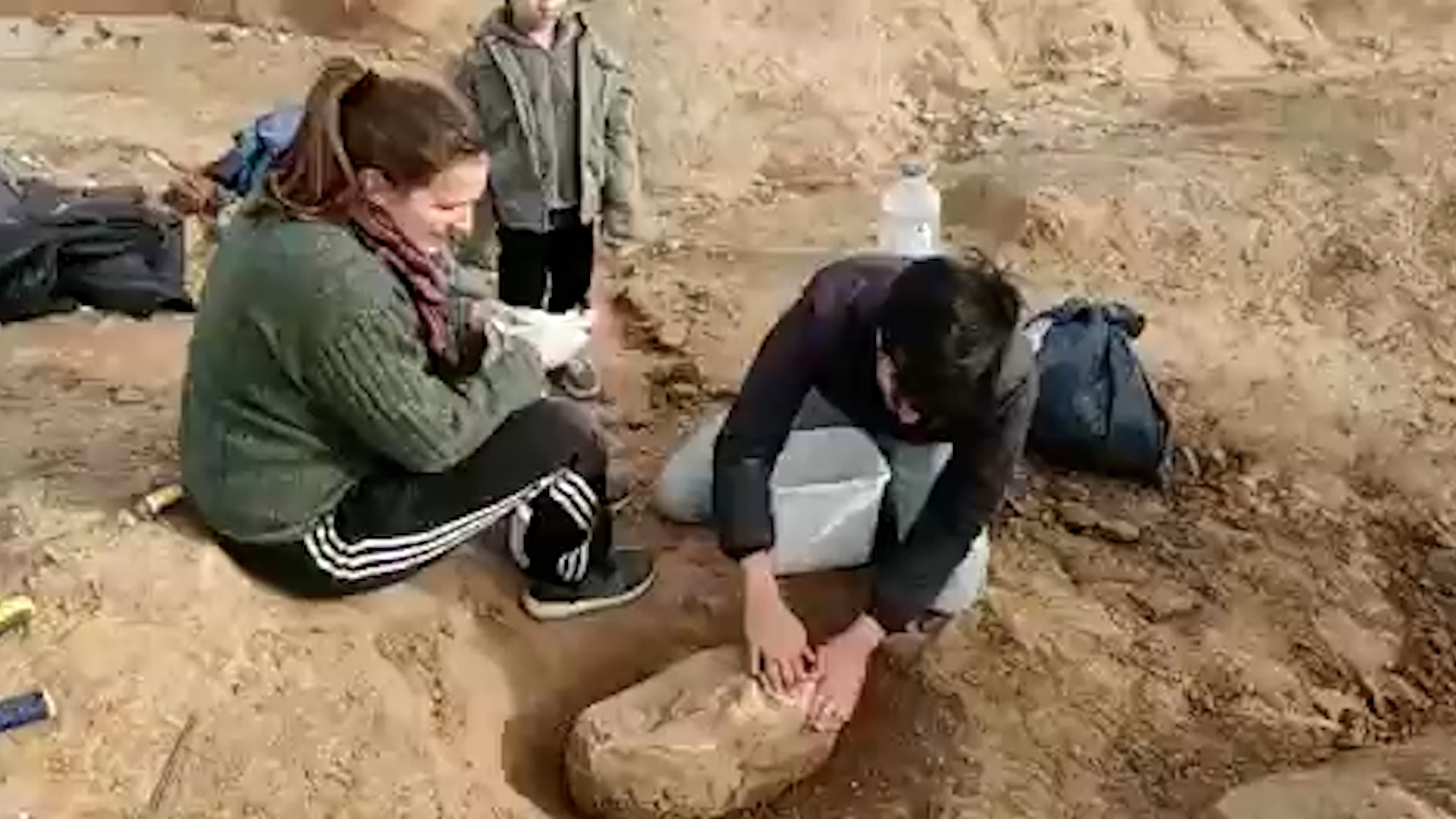 Santa Clara del Mar: tiene 8 años, caminaba por la playa y encontró un cráneo de 700 mil años de antigüedad