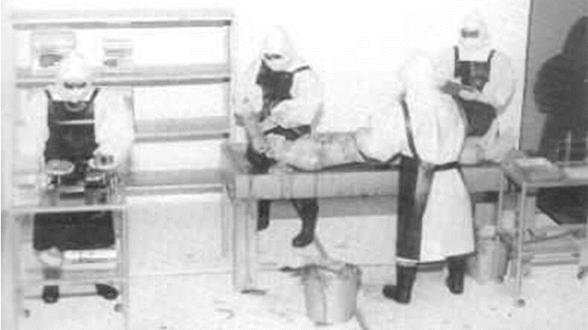 Médicos de la Unidad 731 extrayendo órganos en una necropsia.