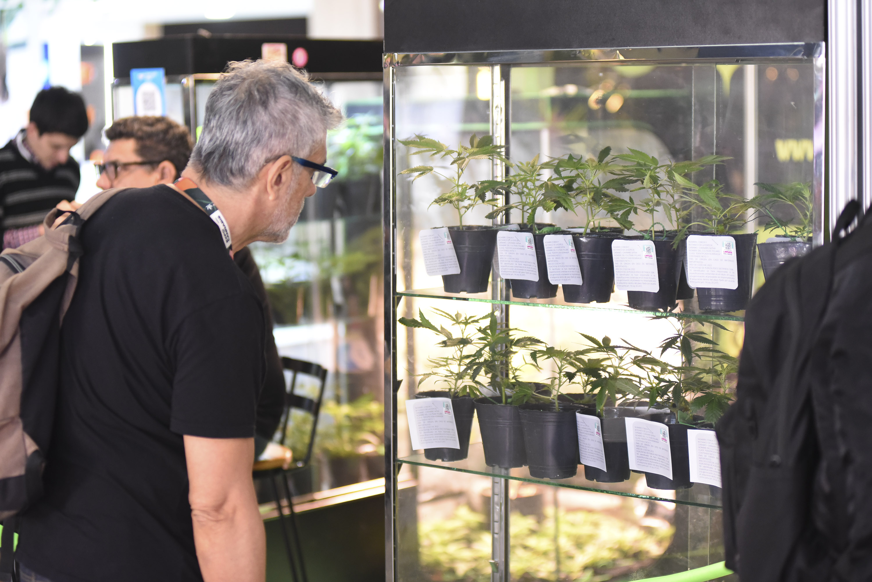 Por primera vez se venden semillas y esquejes de cannabis para uso medicinal en la Expo Cannabis en La Rural (Gentileza Expo Cannabis / Jonatan Moreno)