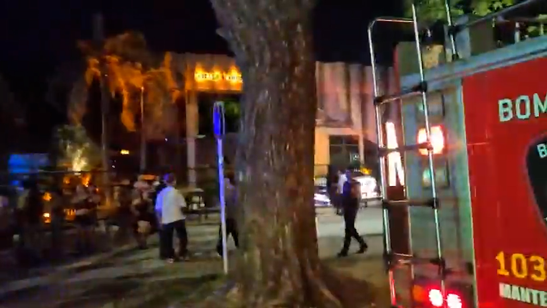 Clima de negocios: los secretos del modelo verde que promete restaurar bosques y ser un generador de dólares para Argentina