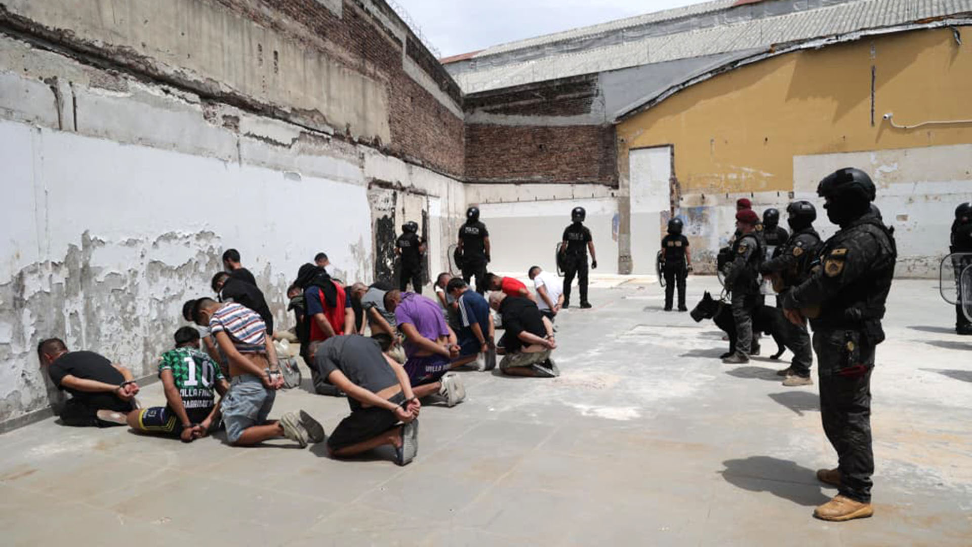 Se triplicaron las ventas de autos importados en enero: qué marcas lideraron el ranking de 0 km