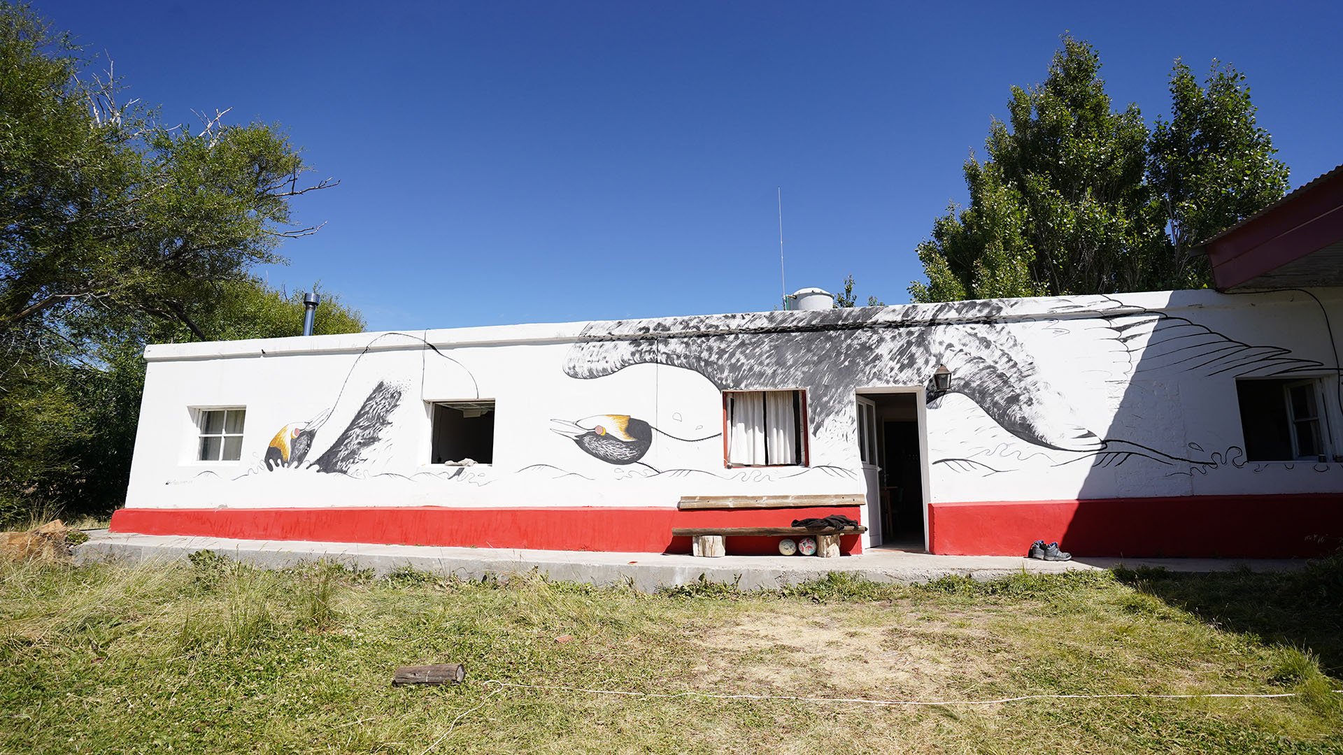 Una de las paredes tiene pintado a un Macá Tobiano, símbolo del origen del Proyecto Patagonia