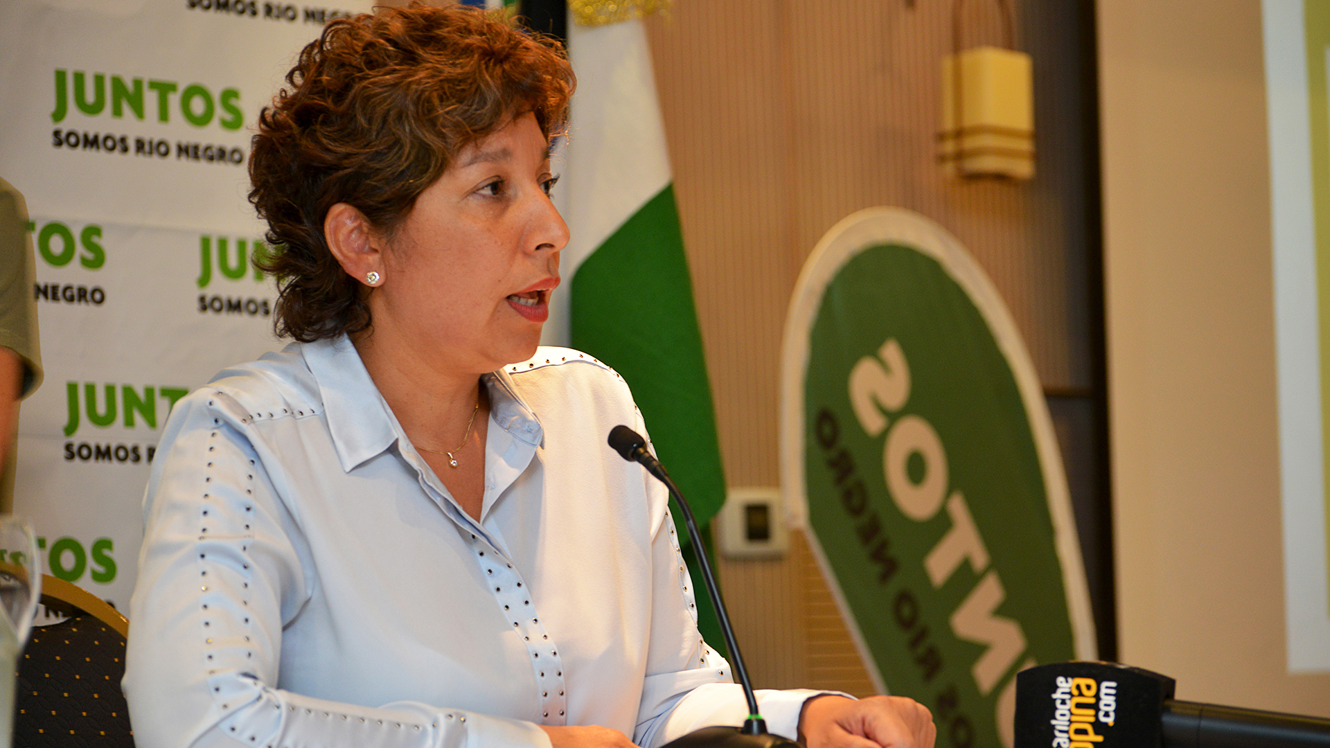 La actual gobernadora de Río Negro, Arabela Carreras, no se presentará para la reelección (Jorge Wohlert)