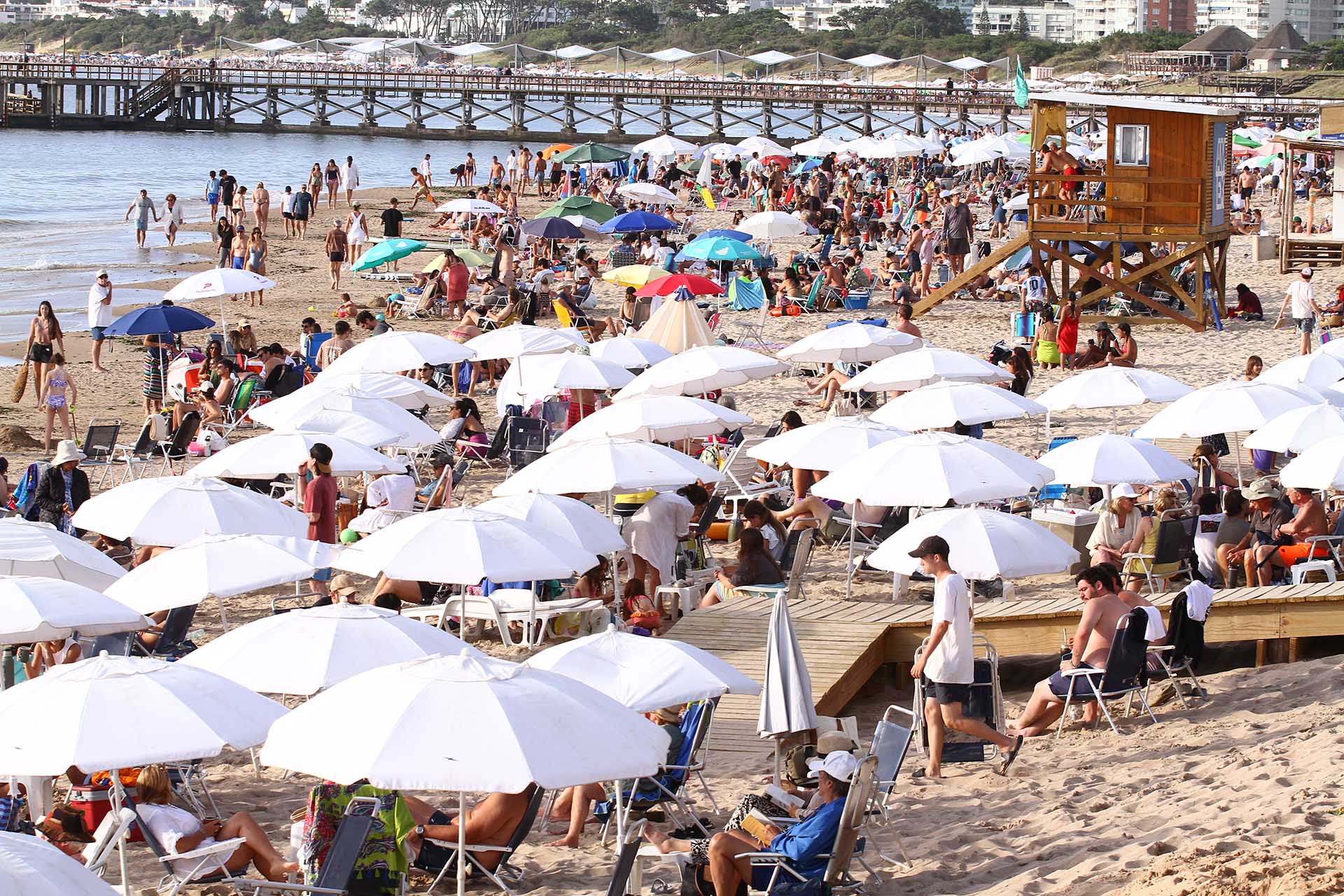 Mató al vecino por un conflicto por la medianera en Pilar: “Dijo que cazaba palomas y se le escapó el tiro”