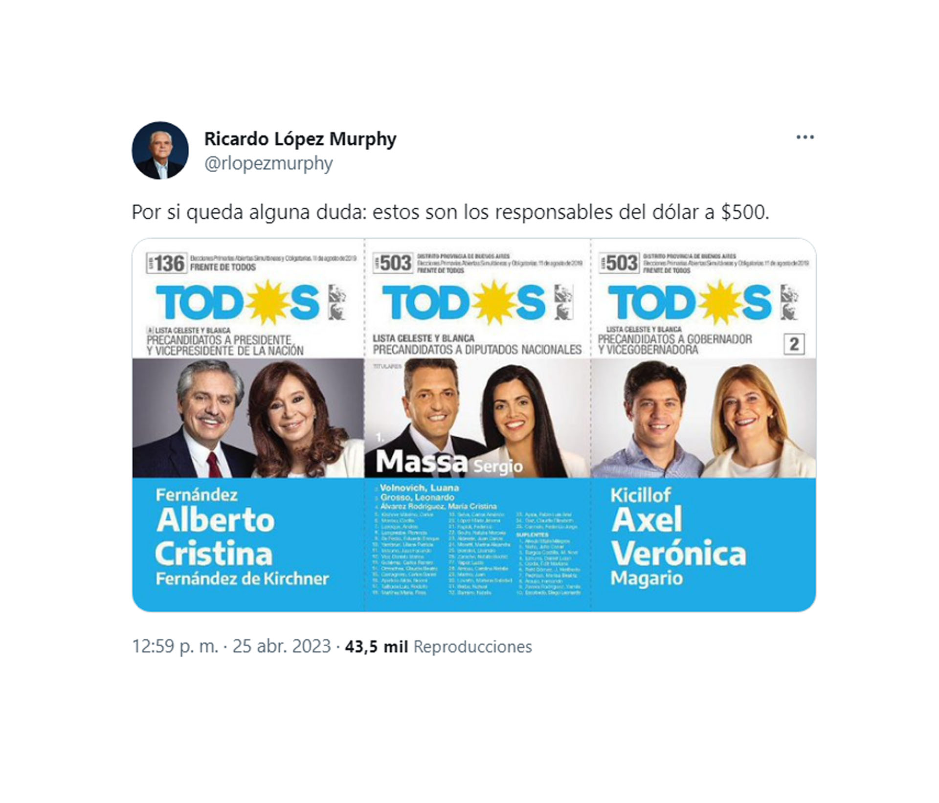 La publicación de Ricardo López Murphy, a tono con la campaña electoral