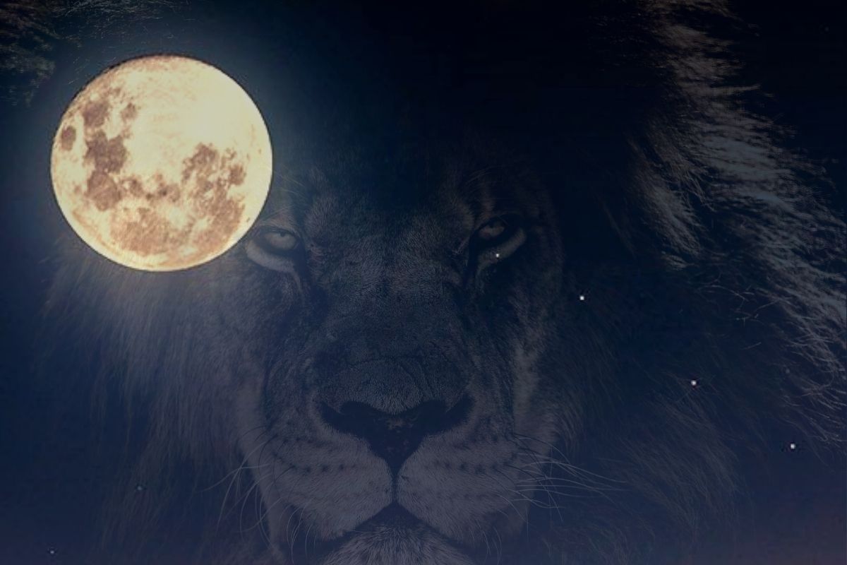 Luna Llena De Febrero En Leo 4 Signos Del Zodiaco Que Podrán Tener Cambios Y Suerte En La Vida