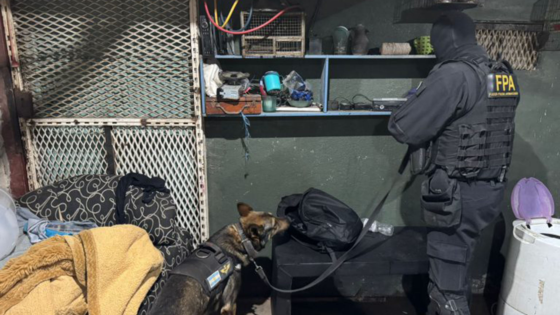 Tití Fernández reveló los mensajes que le envió el ex presidente Alberto Fernández para Messi durante el Mundial de Qatar