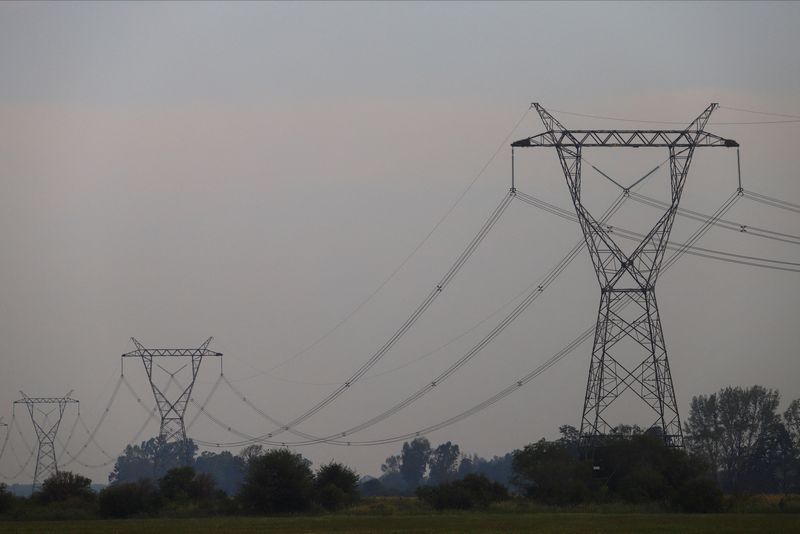 Power lines near the Atucha I atomic power plant in the province of Buenos Aires, Argentina.  Fires near the town of Campana caused failures that generated a blackout in large cities of the country.  March 1, 2023. REUTERS/Matias Baglietto