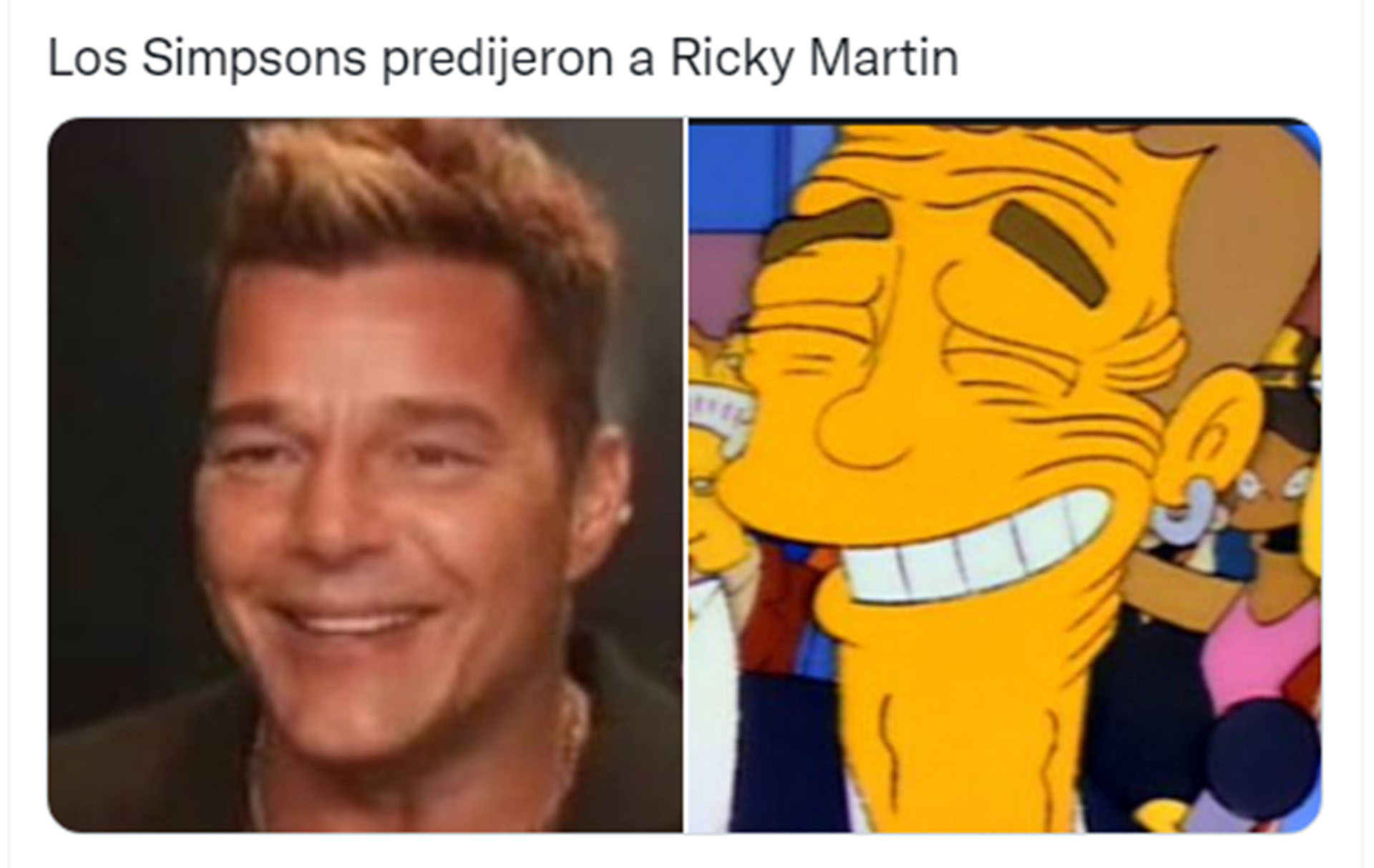 Los Simpsons, en los memes de Ricky Martin