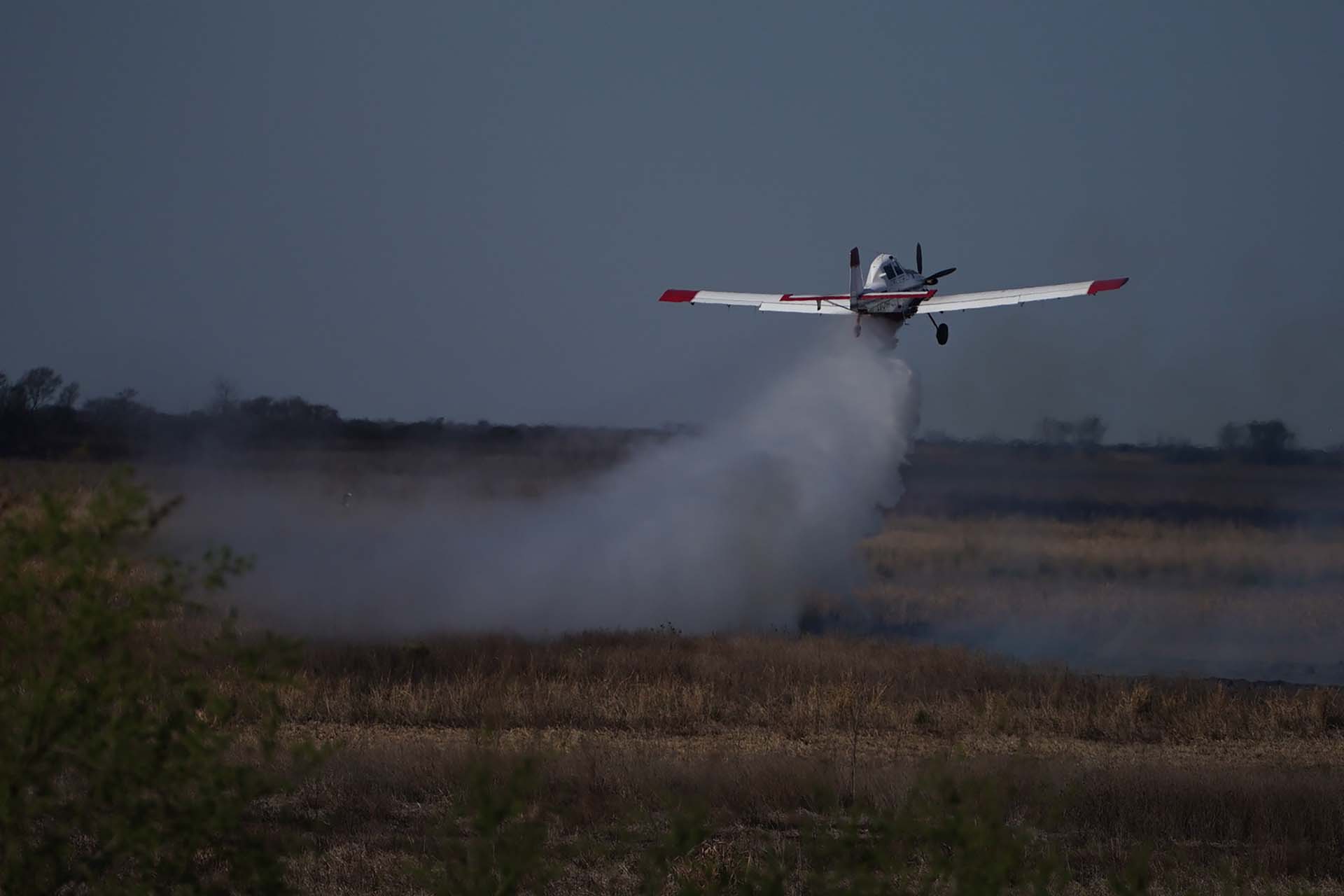 Un avión hidrante en acción (Foto: Franco Fafasuli)