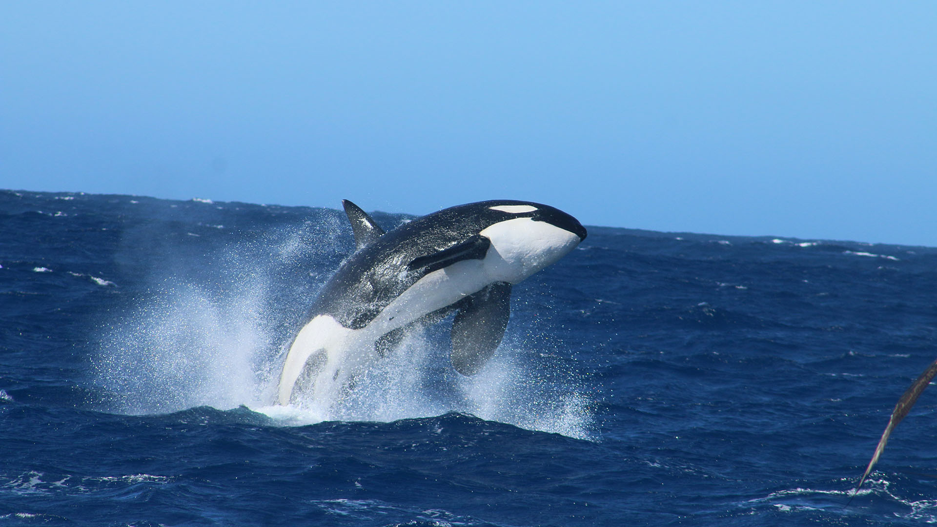 Cristian Ritondo dijo que es “lógica” la salida de diputados del bloque del PRO a LLA: “Nadie tiene obligación”