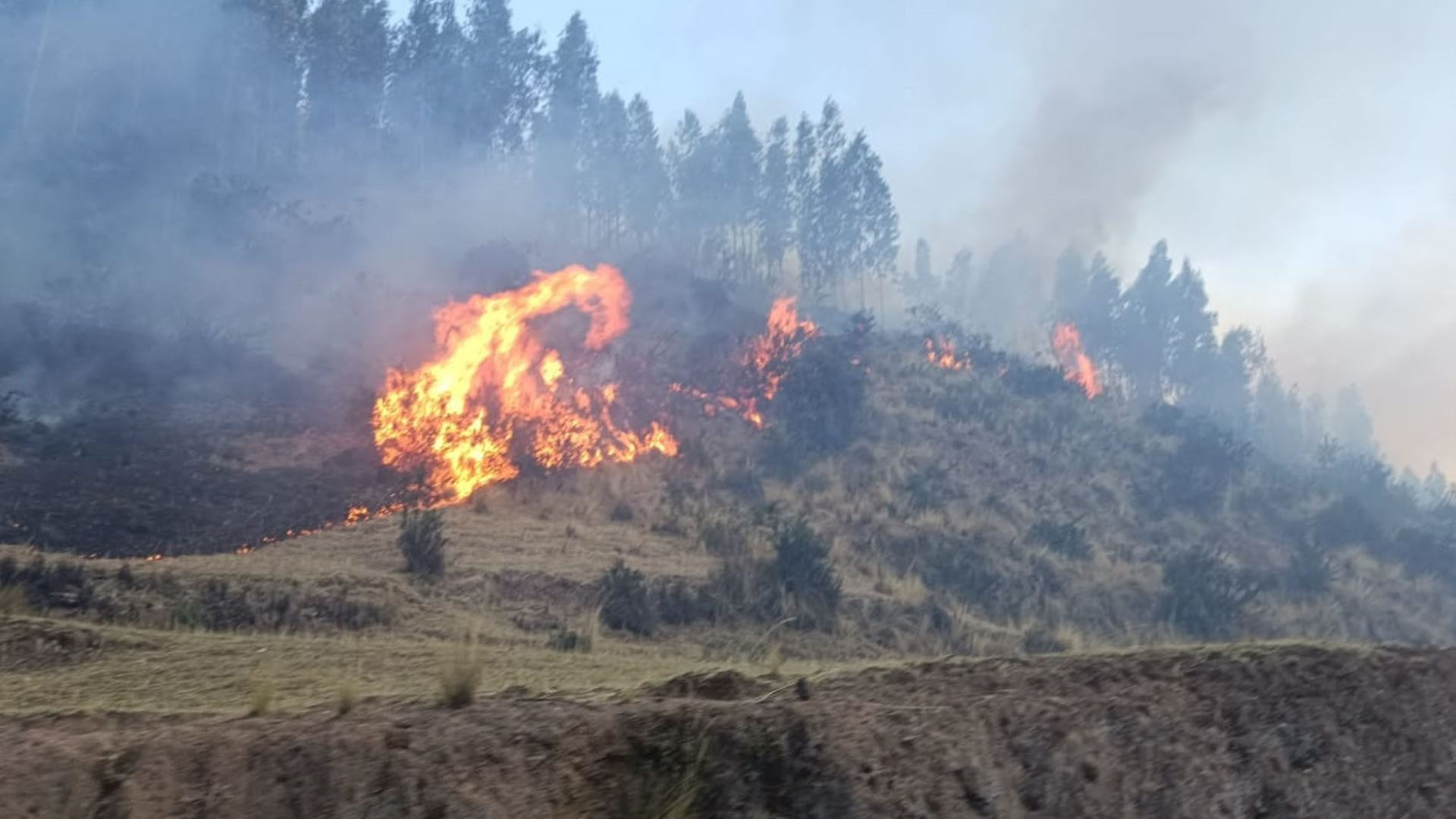 Los Incendios Forestales En La Sierra Sur También Afectarían Los Precios De Los Productos 7541