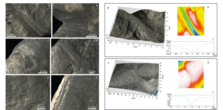 Detalle bajo el microscopio del colgante hallado en Mongolia (Nature)