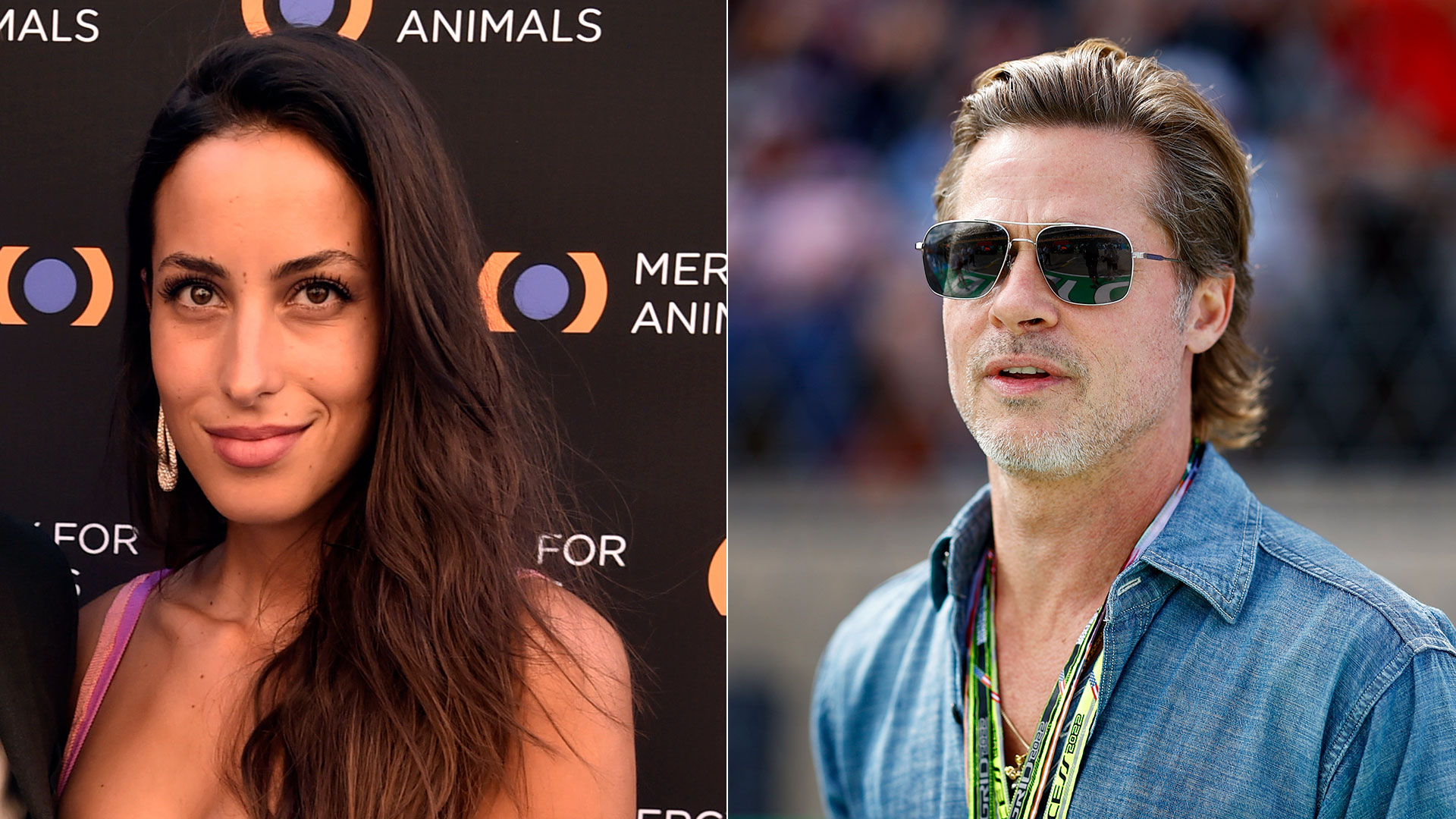 Brad Pitt fue fotografiado con su nueva novia: Ines de Ramon, de 29 años y ex esposa de Paul Wesley (Getty Images)