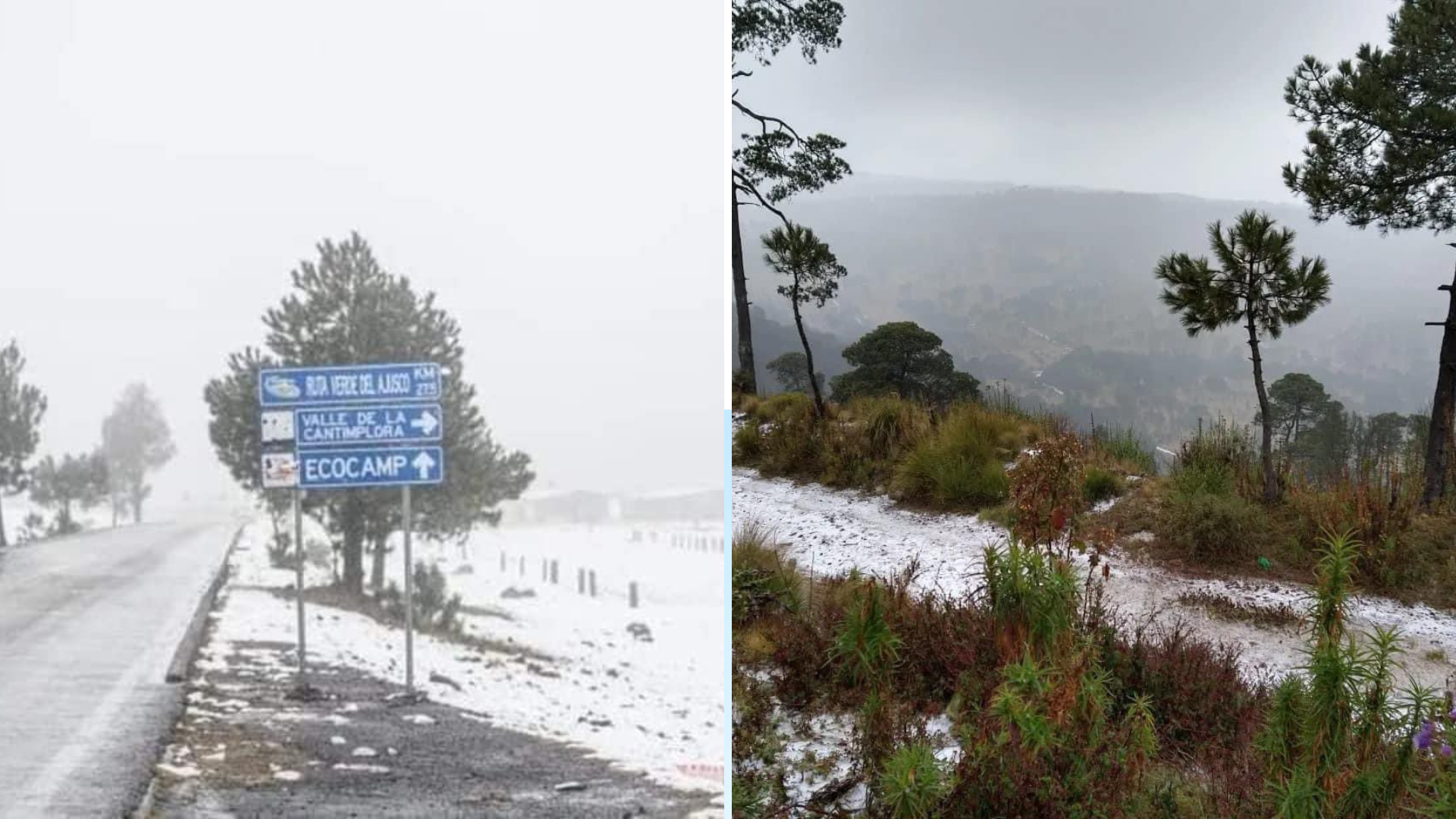 El Ajusco se pintó de blanco con la presencia de aguanieve en la zona alta  de la Alcaldía Tlalpan - Infobae