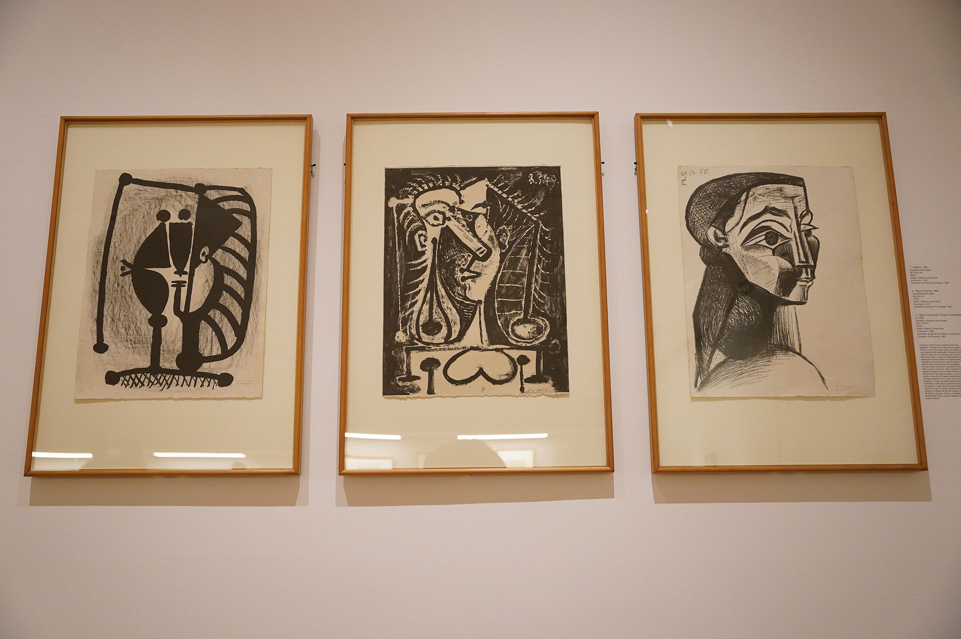 Cómo es la muestra con la que el Bellas Artes se suma a los homenajes mundiales a Picasso
