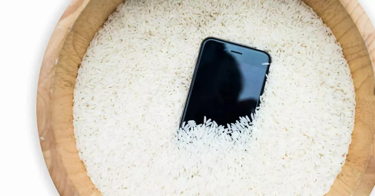44% of the people surveyed indicate that they have tried to put the cell phone in rice to recover their water-damaged device.  (MovilZona)