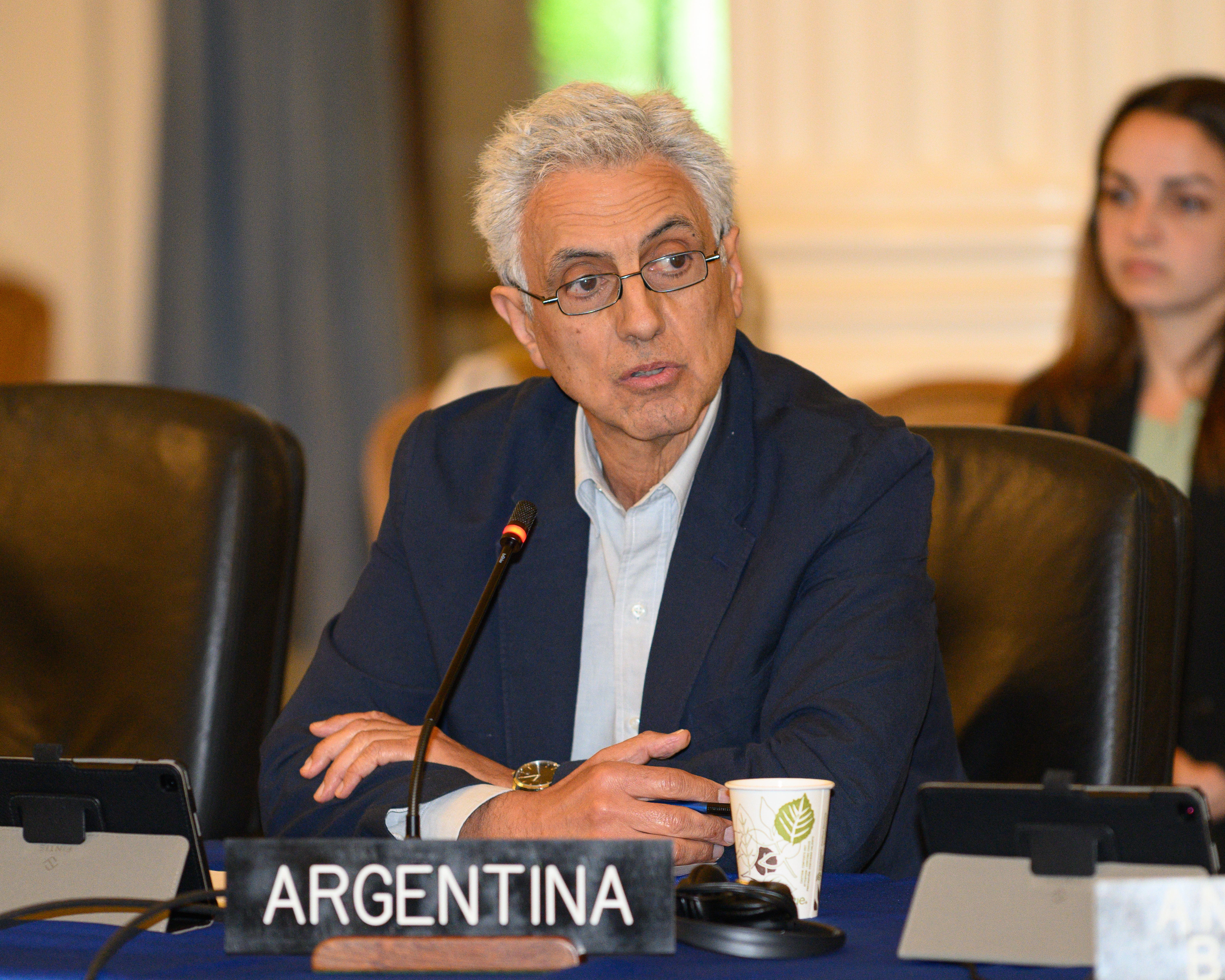El representante de Argentina en la OEA, Carlos Raimundi, en la sesión que aprobó un incremento presupuestal para la OEA. Washington, 31 de mayo de 2023. GENTILEZA OEA