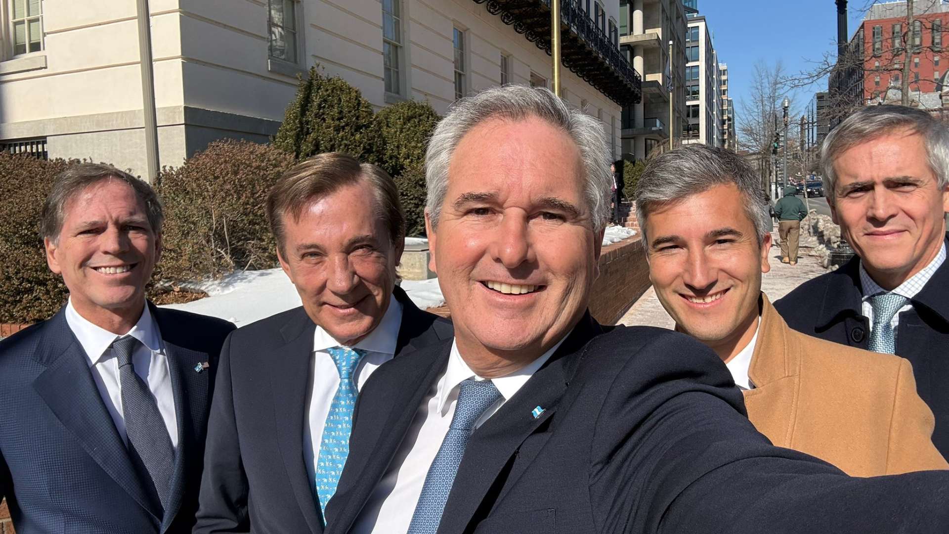 El enigma del pelo de los gatos: la ciencia reveló por qué parecen veganos aunque son carnívoros