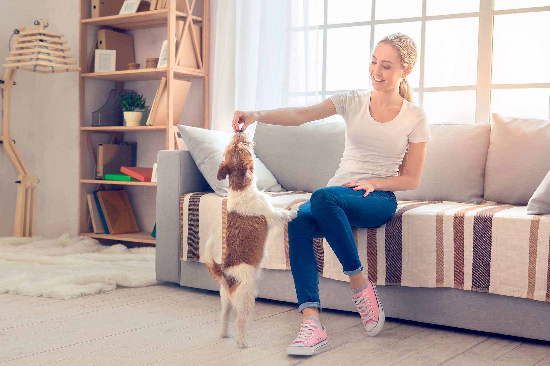 Para ayudar a activar el olfato de tu perro, que es su sentido más poderoso, los entrenadores recomiendan el "juego del trapo” (Shutterstock)