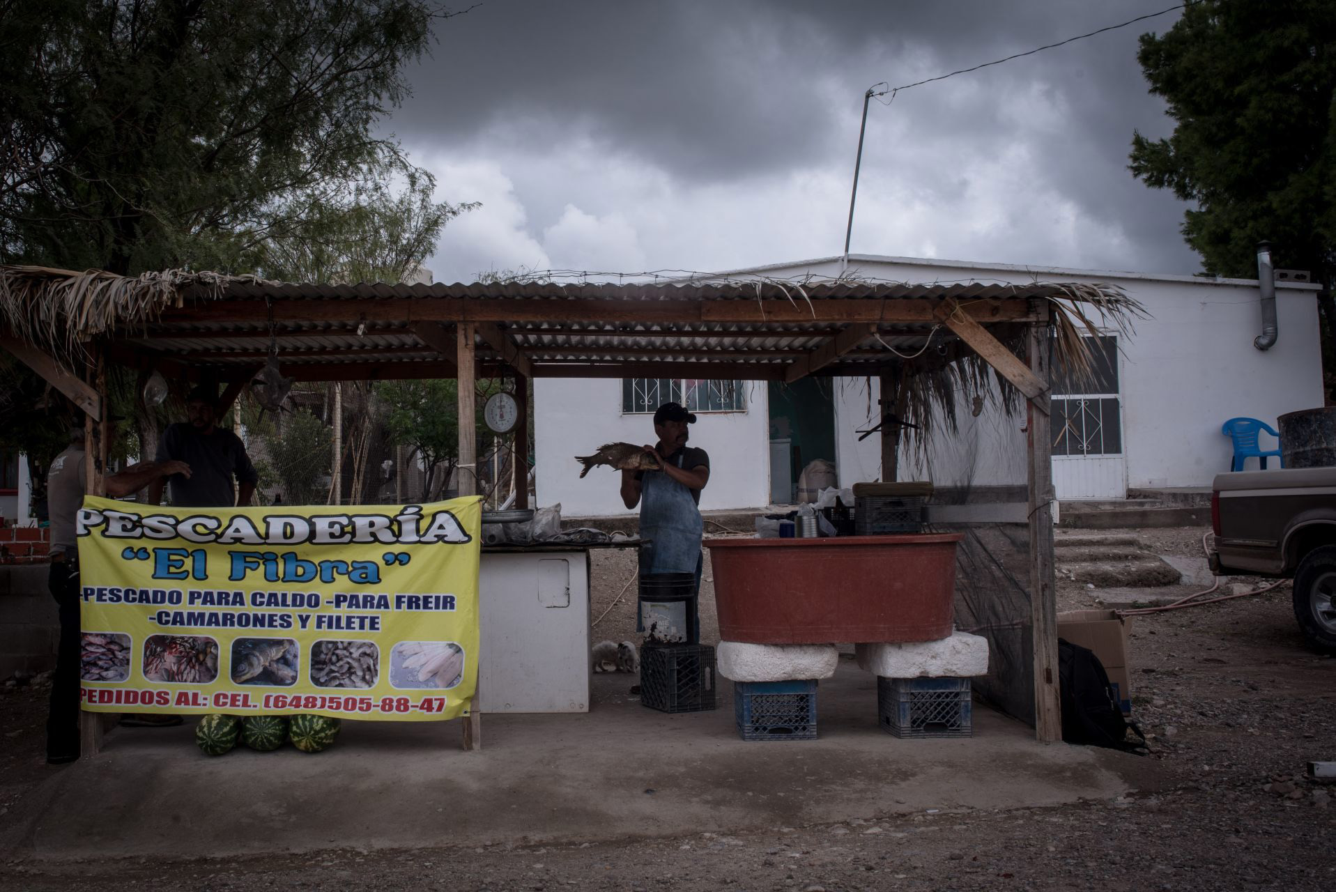 Local de venta de pescado fresco en un poblado a la entrada de la presa