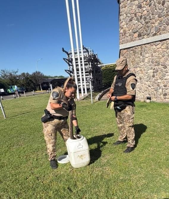 Los gobernadores peronistas se reúnen para evaluar la reforma laboral: les preocupa recibir menos fondos por la reducción de Ganancias