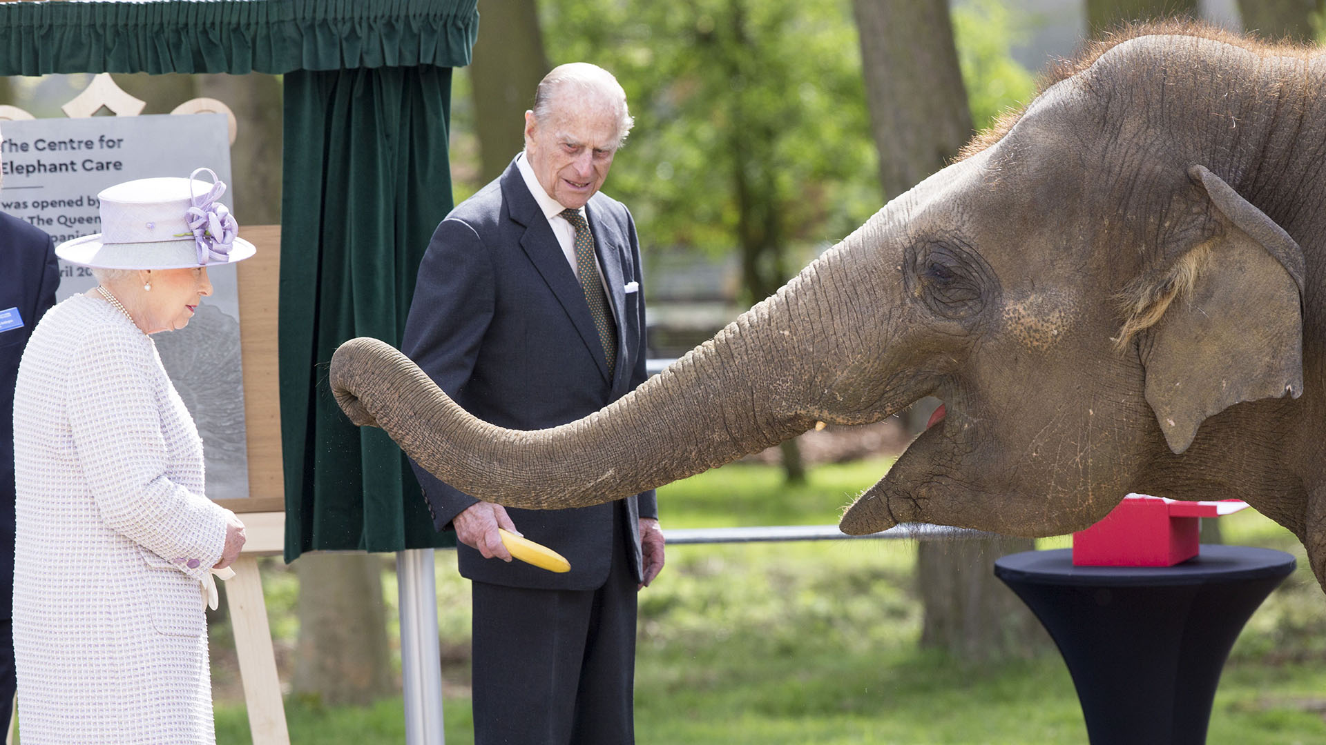 11 de abril de 2017.  La reina Isabel II y el príncipe Felipe en el Centro para el cuidado de elefantes en Bedfordshire, Reino Unido 