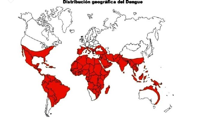 La expansión del dengue en el mundo avanza a medida que aumenta también el calentamiento global y se tropicalizan más regiones