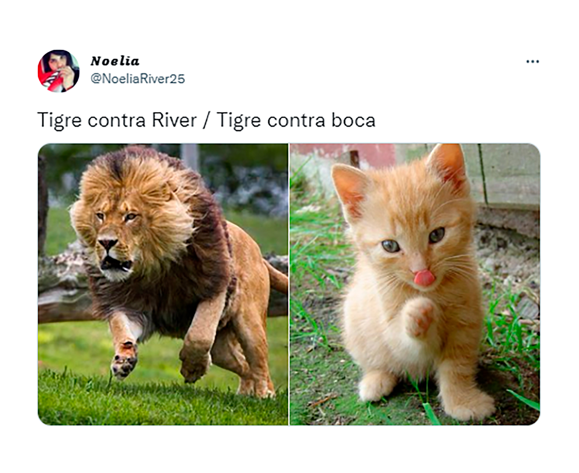 Tigre contra River y Tigre contra Boca, la comparación que hizo furor en las redes