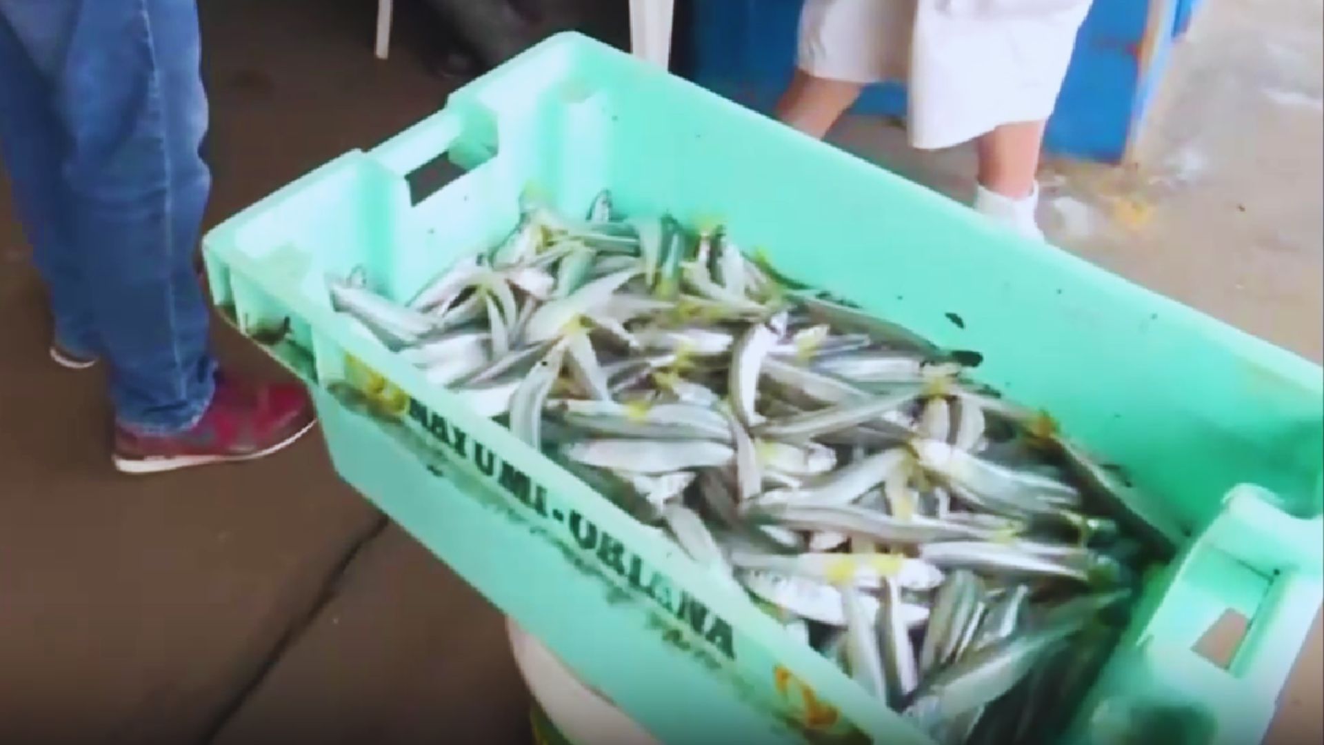 Pescadores perjudicados por oleajes anómalos: hace varias semanas no pueden ingresar al mar y precio del pescado se incrementa