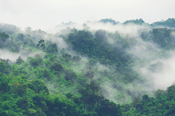 El discurso completo de Javier Milei en el Foro de Davos